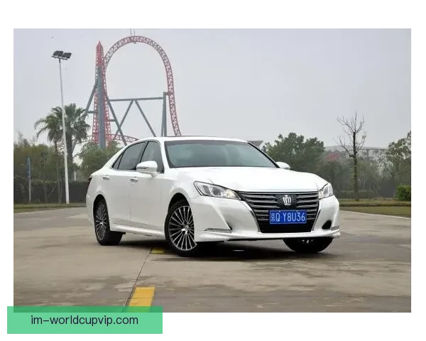 IM体育官网打造全球电竞平台新生态，助力玩家实现梦想与竞技突破